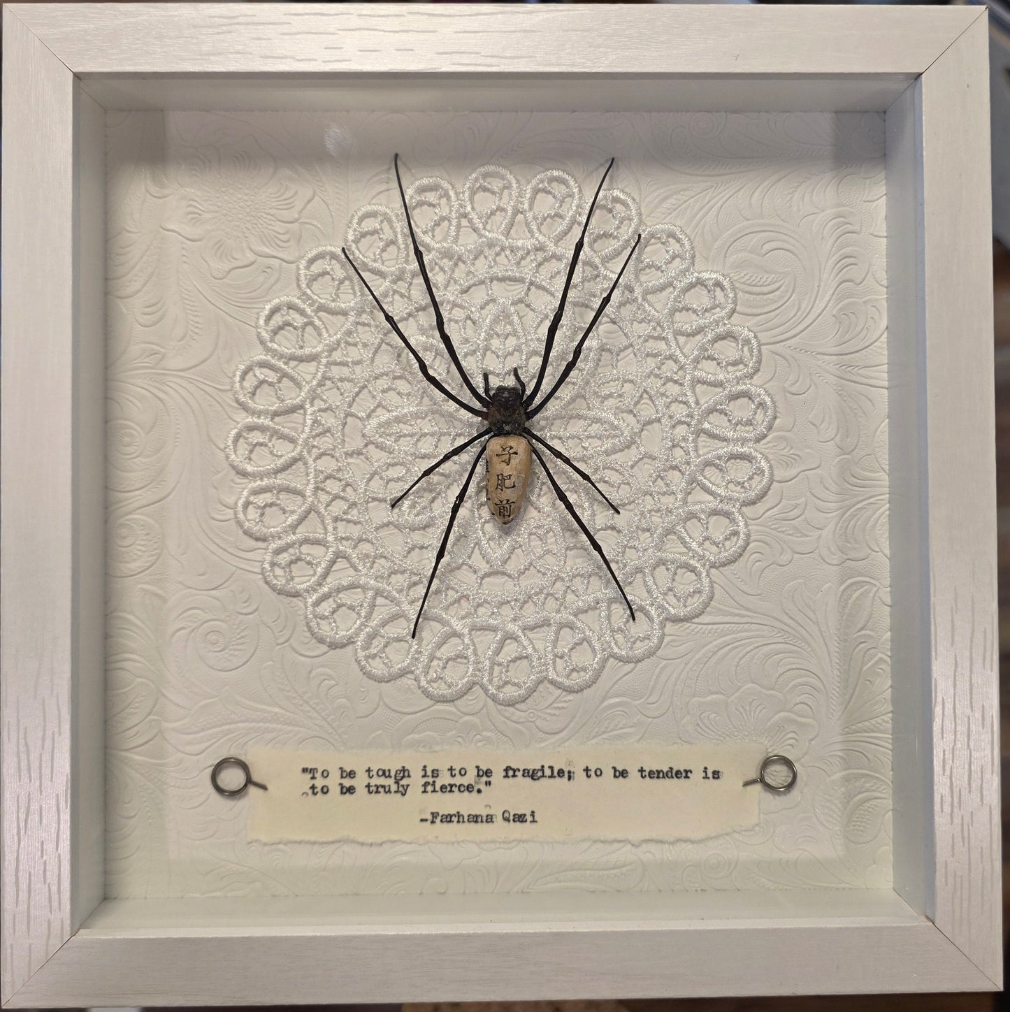 9"x9" Orb Weaver Spider (Nephila vitiana) Shadowbox Frame