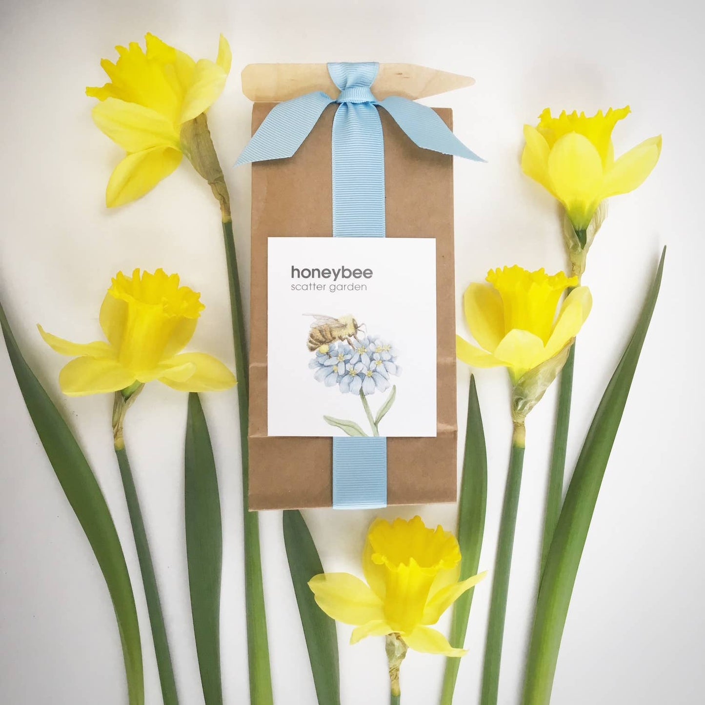 Scatter Garden | Honeybee | Pollinator Garden | Best Seller: Honeybee