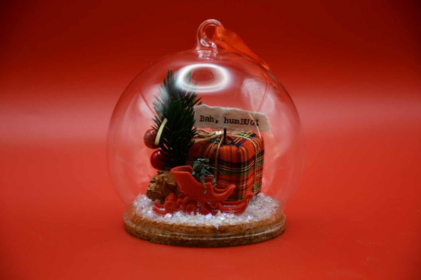 "Bah, humBUG" Weevil Beetle Glass Dome Ornament