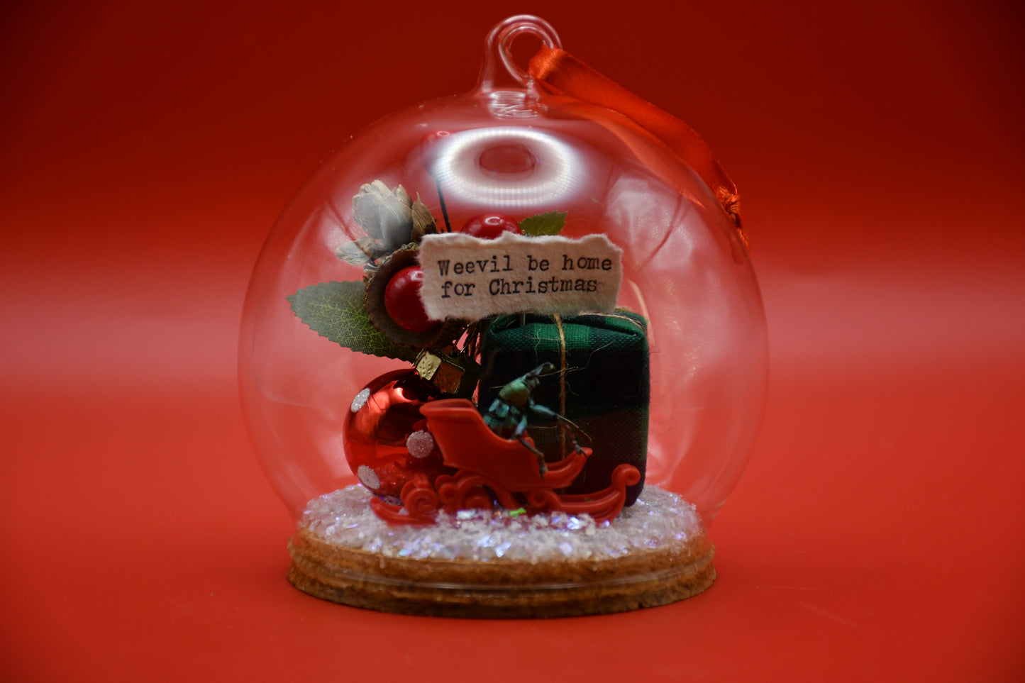 "Weevil be home for Christmas" Weevil Beetle Glass Dome Ornament