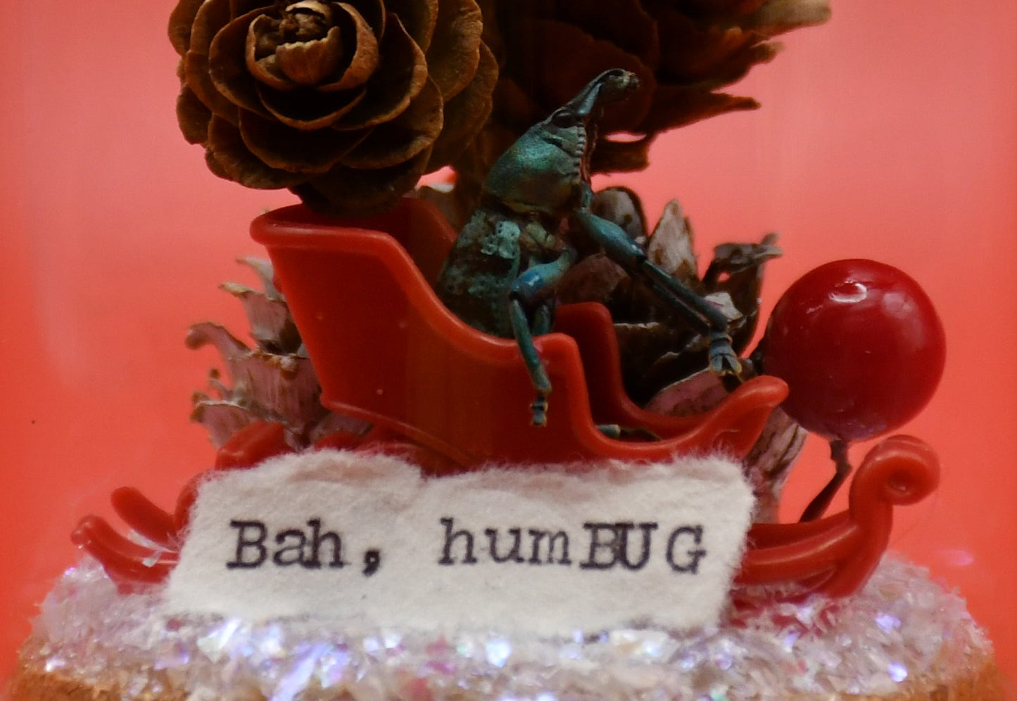 "Bah, humBUG" Weevil Beetle Glass Cloche Ornament