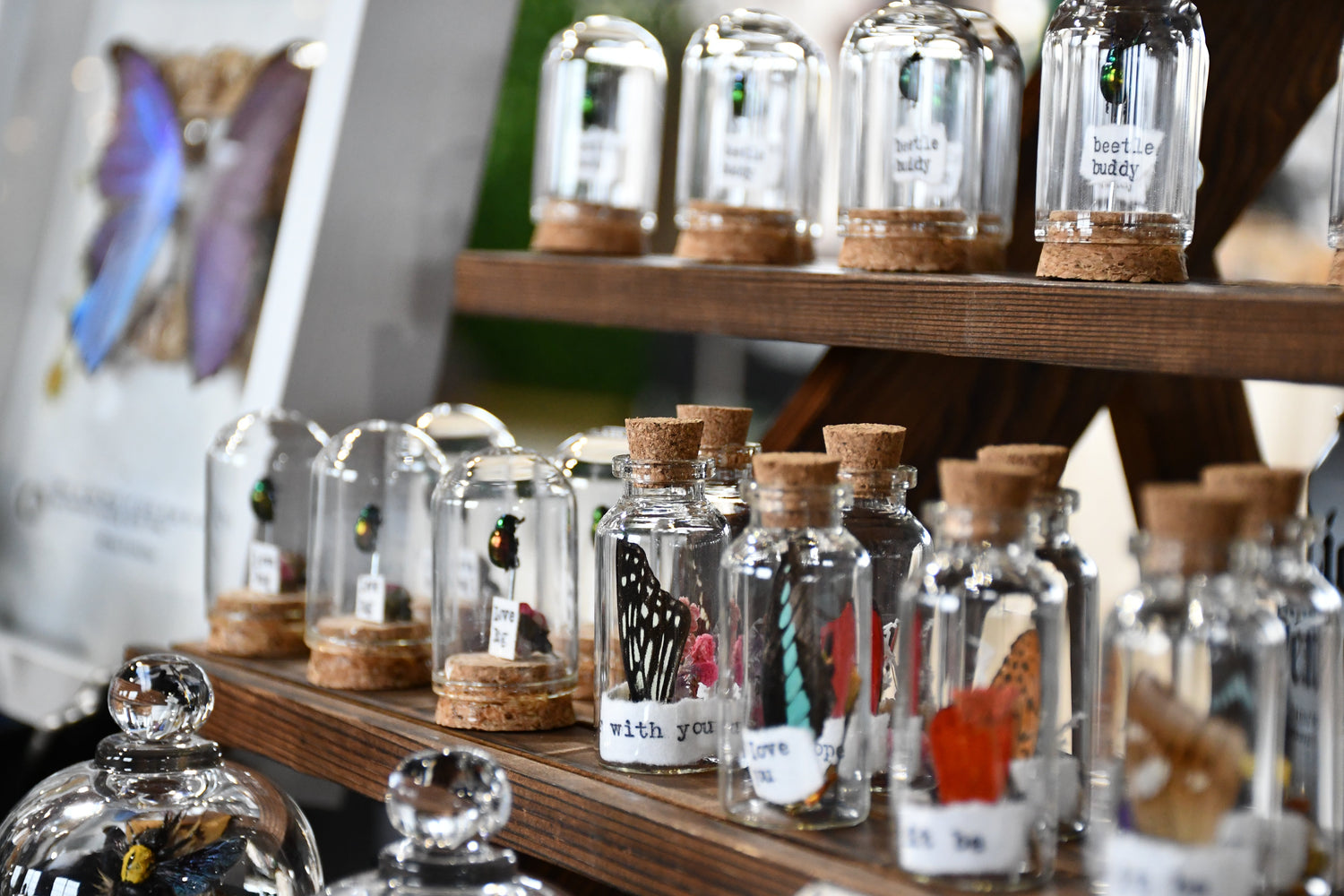 Mindful Mortem Collection