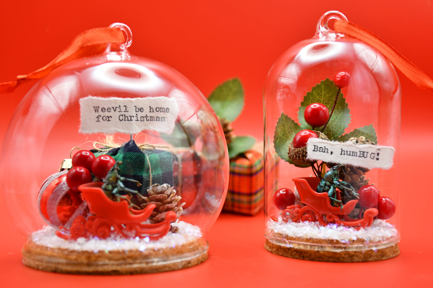 Merry Mindful Collection