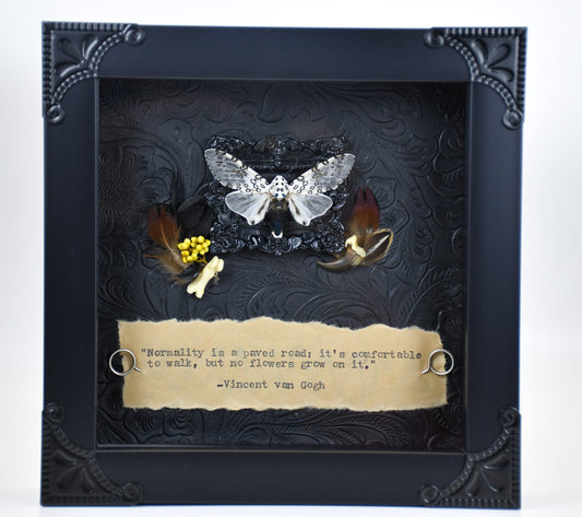 6"x6" White & Black Leopard Moth (Hypercompe scribonia) Shadowbox Frame