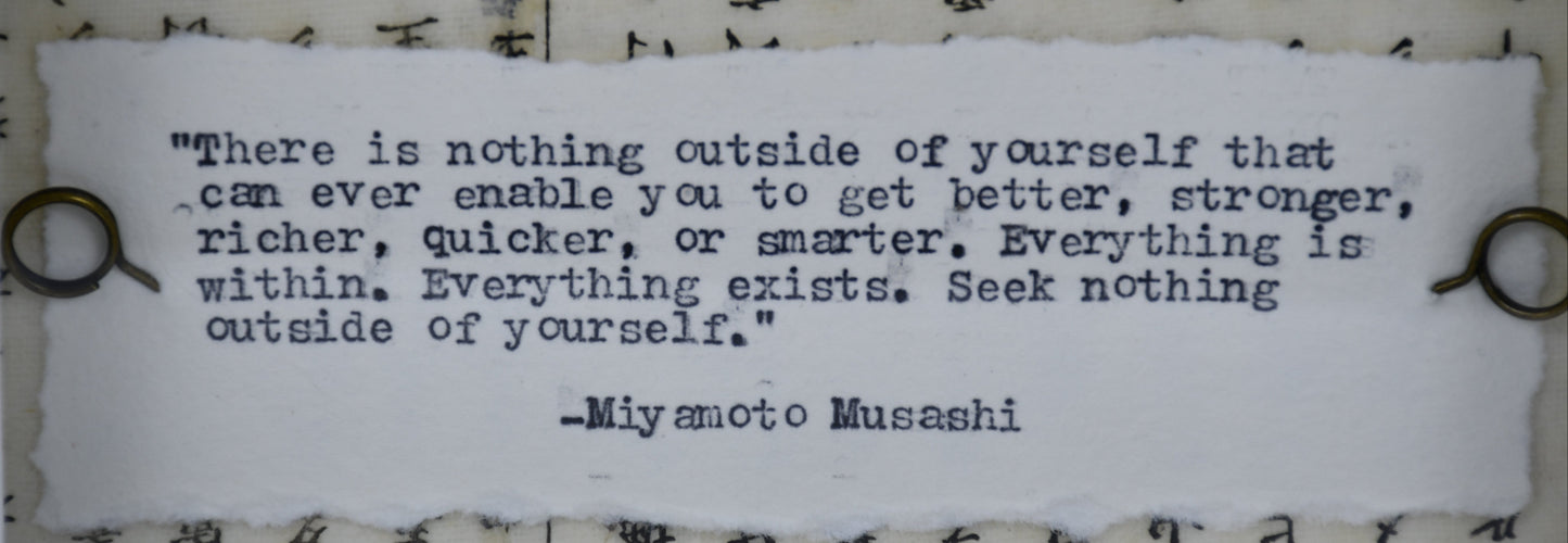 6"x6" Saturn Moth (Samia cynthia) Shadowbox Frame