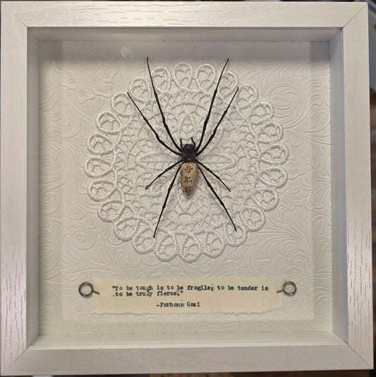 9"x9" Orb Weaver Spider (Nephila vitiana) Shadowbox Frame