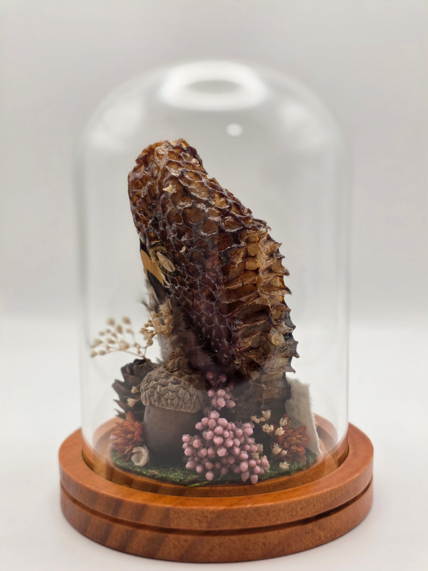 Honey Bee Dome