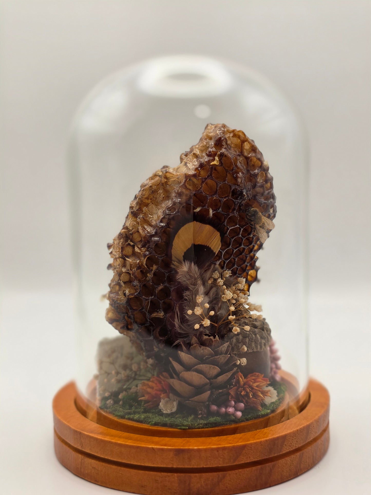 Honey Bee Dome