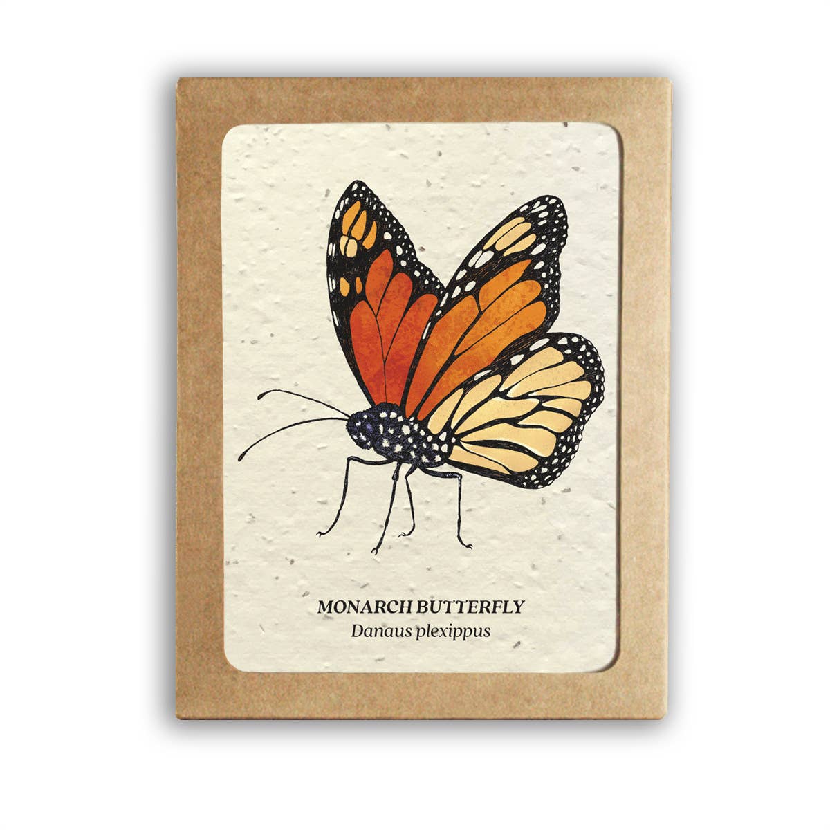 Insect Card Set - Plantable Wildflower Seed Paper: No Front Sleeve