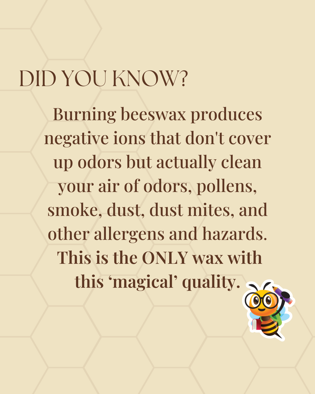 Moon Milk Beeswax Woodwick Candle: 8 oz. (40 hr burn time)