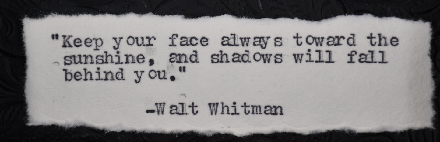 5"x5" Orange-Barred Sulphur Butterfly (Phoebis philea) Frame