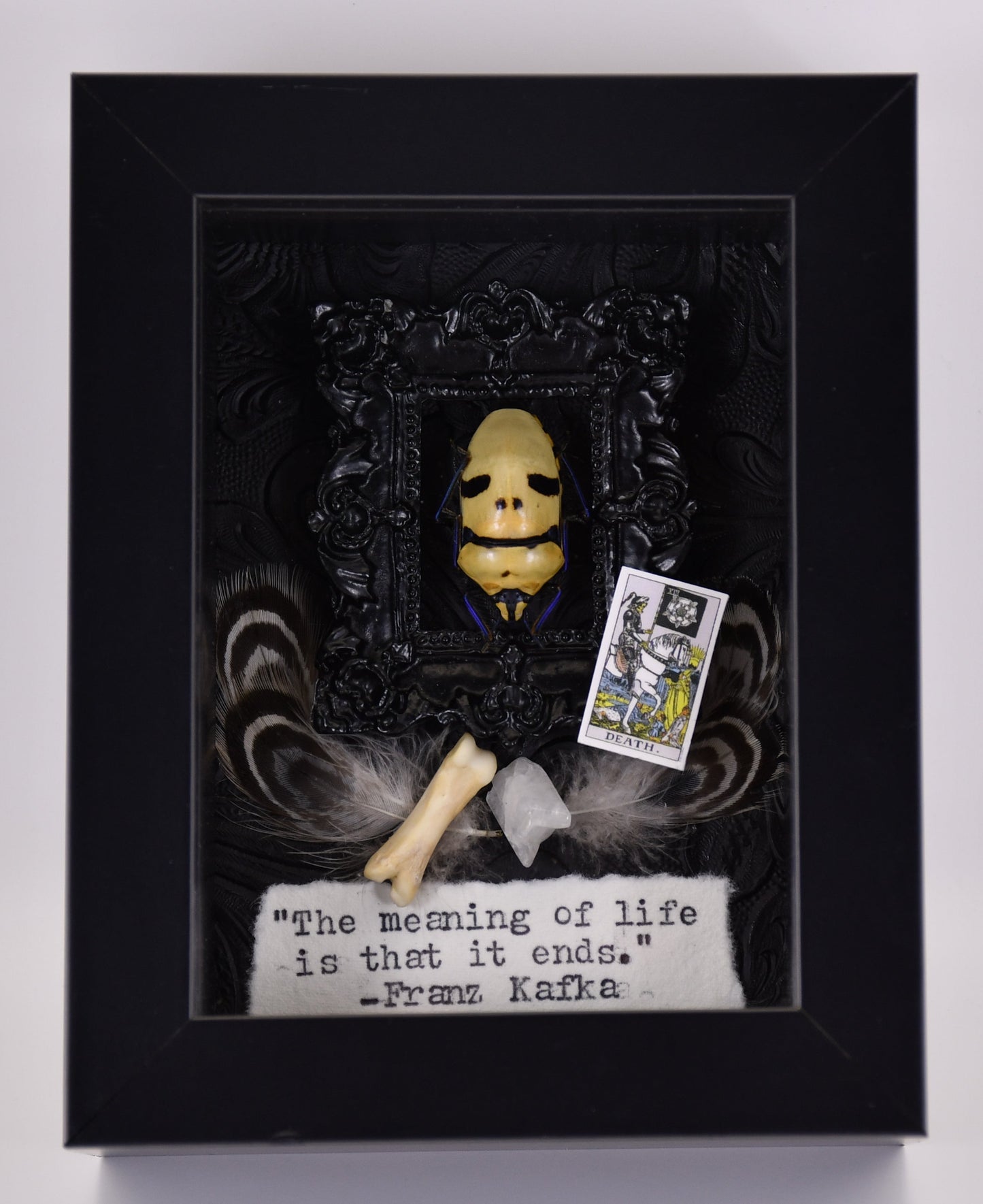 4"x3" Mask Skull Face Shield Bug (Eucorysses grandis) Shadowbox Frame