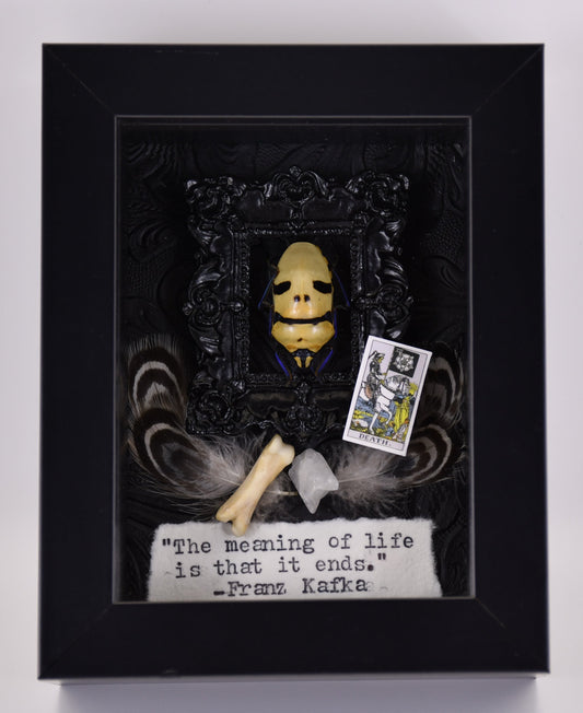 4"x3" Mask Skull Face Shield Bug (Eucorysses grandis) Shadowbox Frame