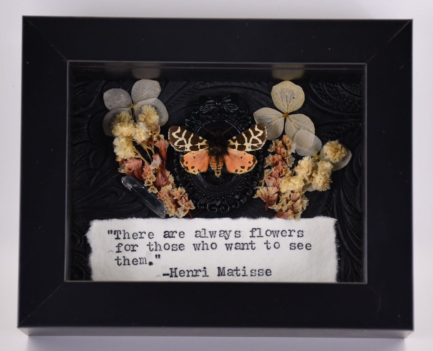 3"x4" Pink-Red Tiger Moth (Grammia incorrupta) Shadowbox Frame