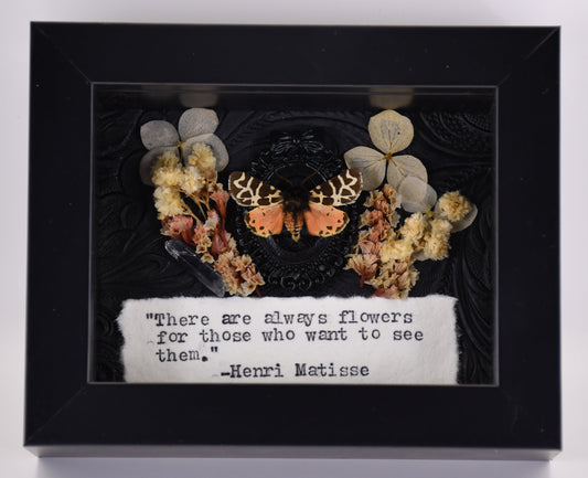 3"x4" Pink-Red Tiger Moth (Grammia incorrupta) Shadowbox Frame