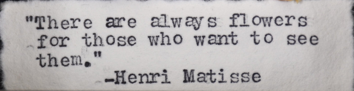 3"x4" Pink-Red Tiger Moth (Grammia incorrupta) Shadowbox Frame