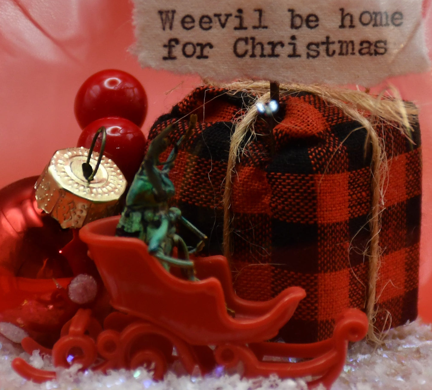 "Weevil be home for Christmas" Weevil Beetle Glass Dome Ornament