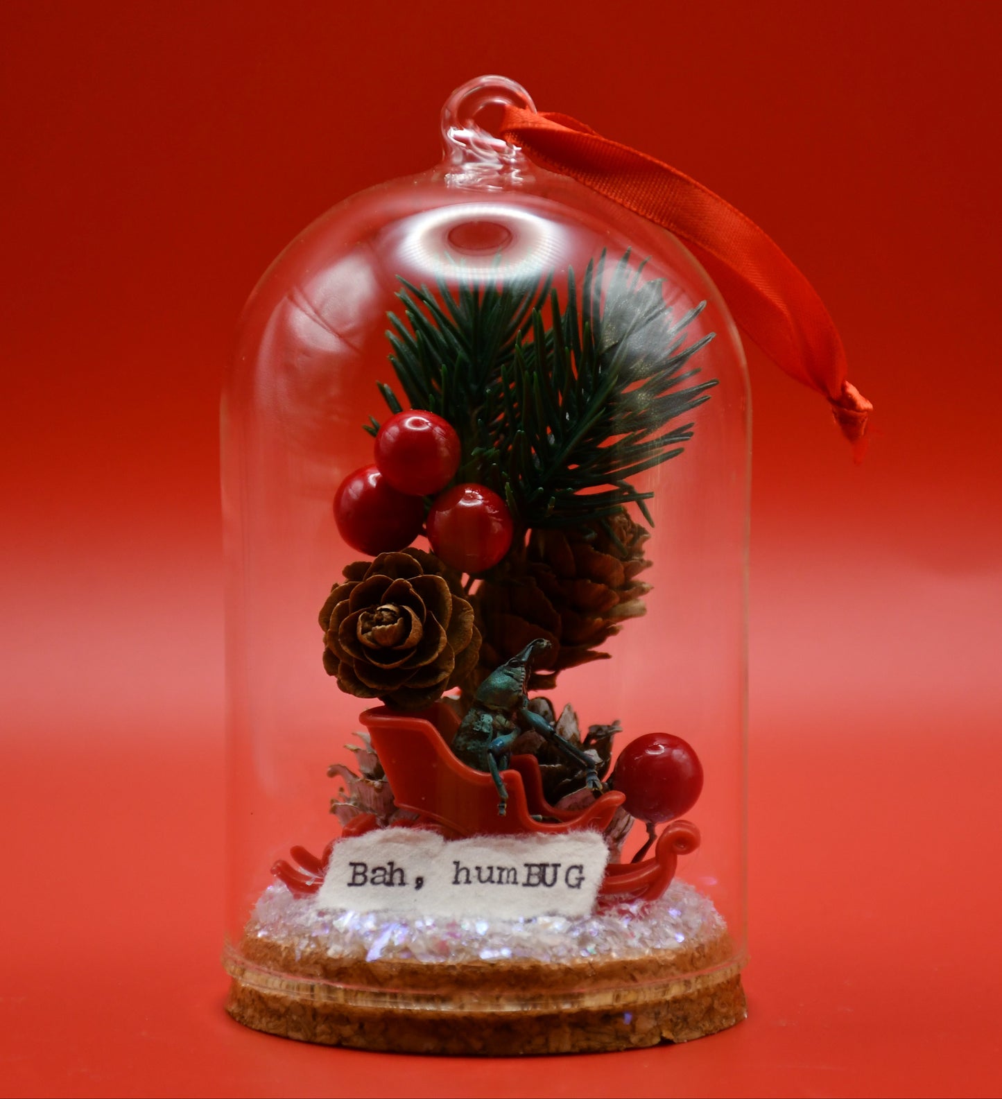 "Bah, humBUG" Weevil Beetle Glass Cloche Ornament