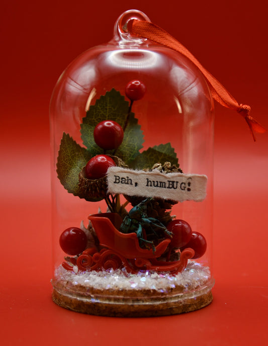 "Bah, humBUG" Weevil Beetle Glass Cloche Ornament