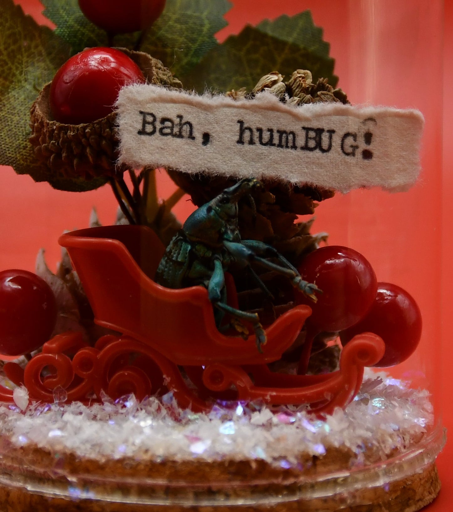 "Bah, humBUG" Weevil Beetle Glass Cloche Ornament