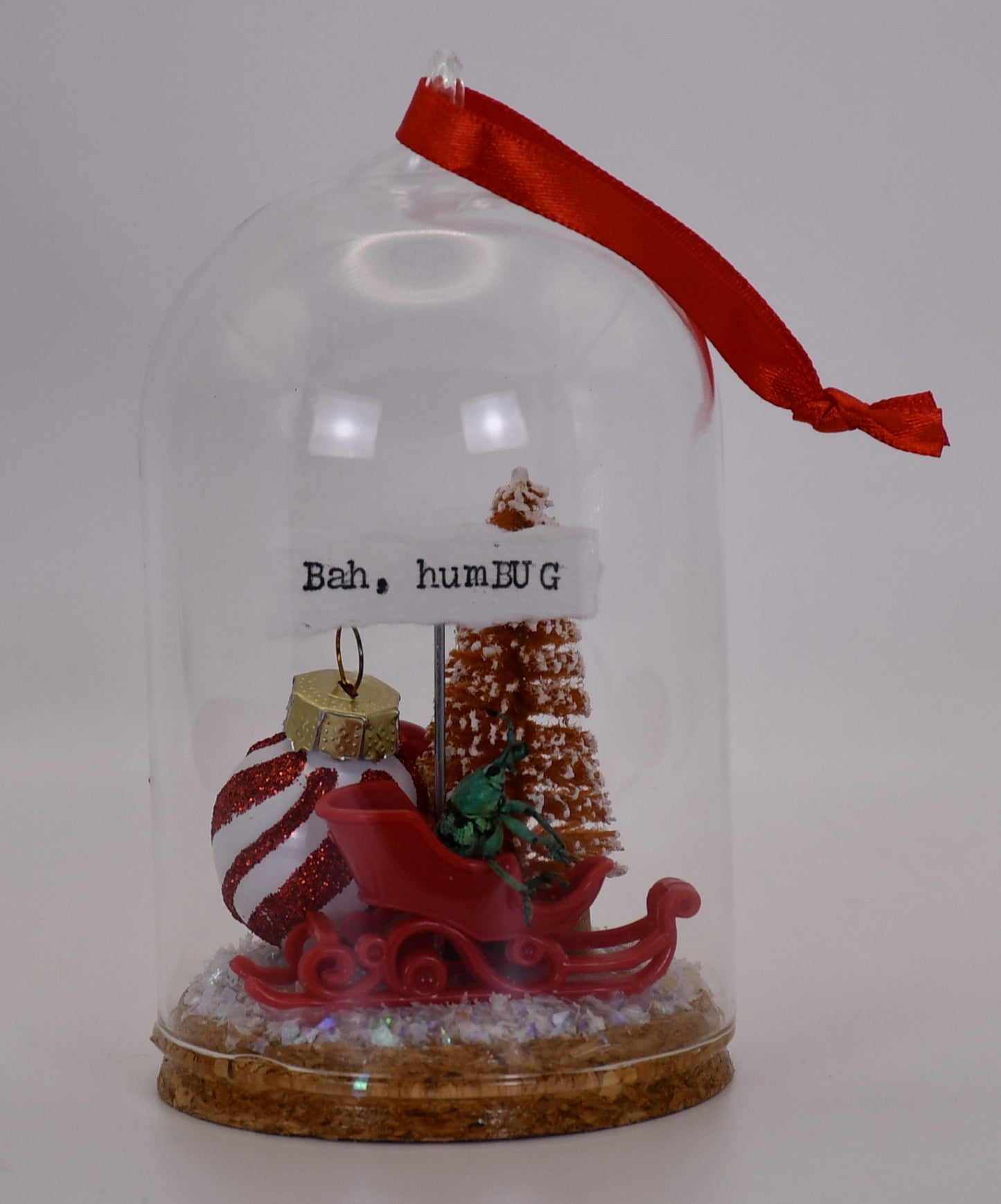 "Bah, humBUG" Weevil Beetle Glass Cloche Ornament