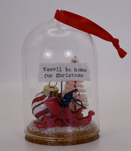 "Weevil be home for Christmas" Weevil Beetle Glass Cloche Ornament