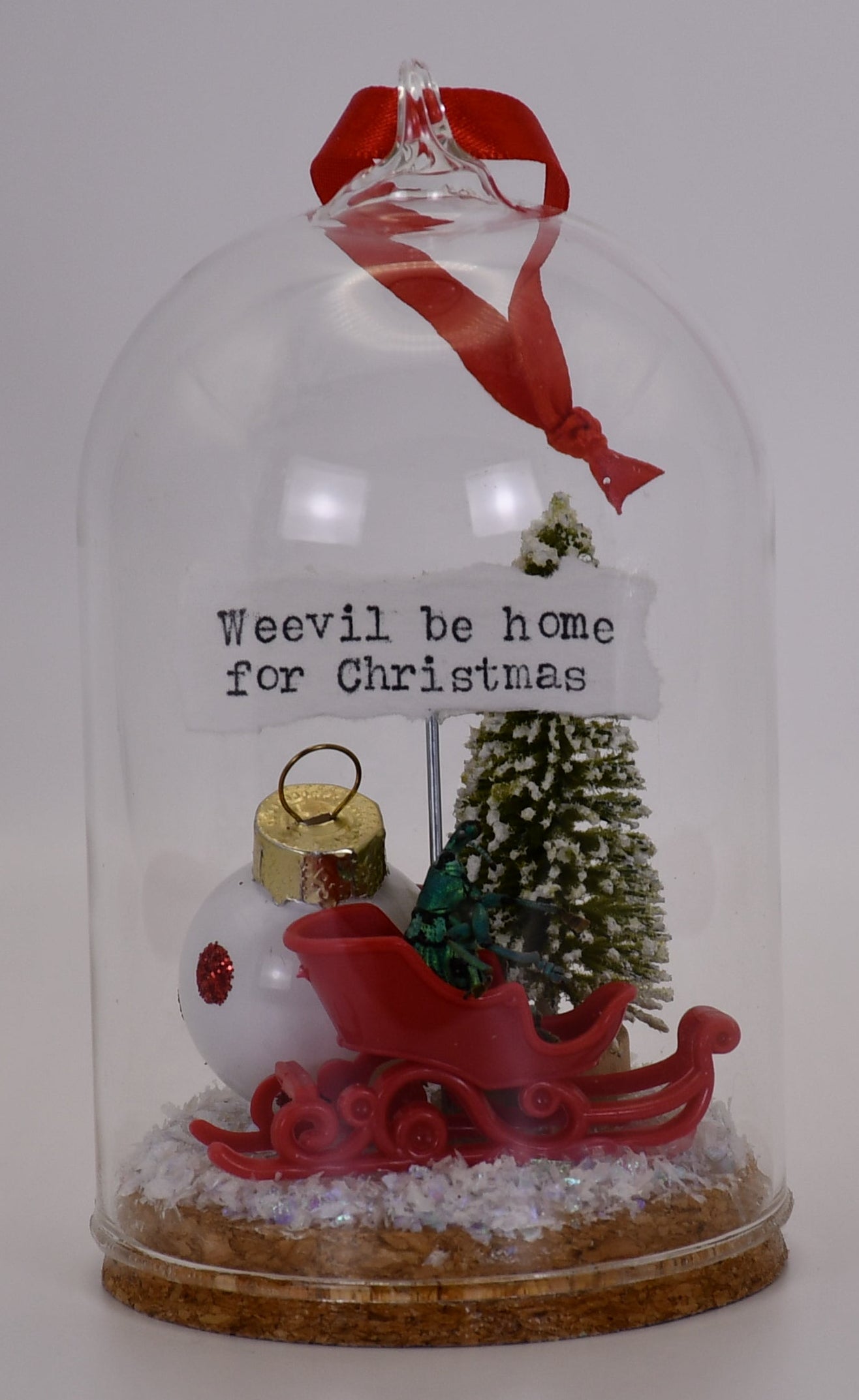 "Weevil be home for Christmas" Weevil Beetle Glass Cloche Ornament